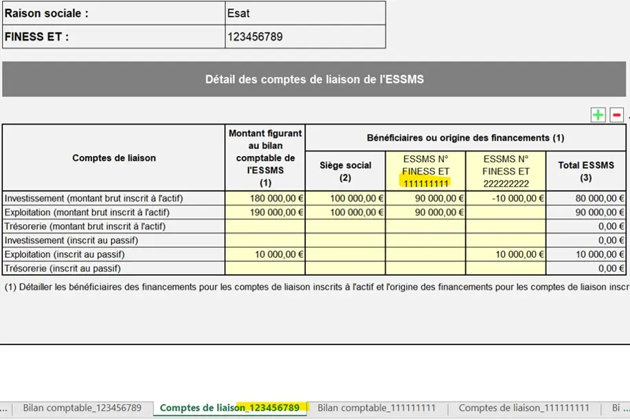 Exemple de compte de liaison pour un Finess Esat.